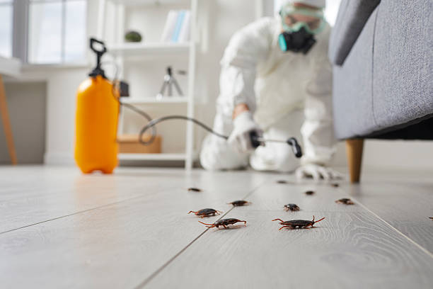 Commercial Kitchen Cockroach Control in Fairbury